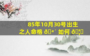 85年10月30号出生之人命格 🪴 如何 🦆